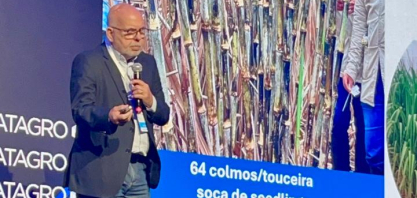 IAC anuncia nova variedade de cana com 25% mais produtividade e aposta em manejo hídrico para elevar eficiência no campo