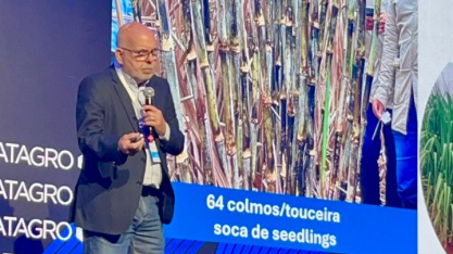 IAC anuncia nova variedade de cana com 25% mais produtividade e aposta em manejo hídrico para elevar eficiência no campo