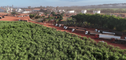 Após recorde de produção de açúcar em 2024, indústria paraense mira safra ainda maior