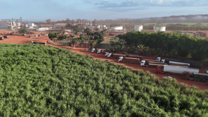 Após recorde de produção de açúcar em 2024, indústria paraense mira safra ainda maior