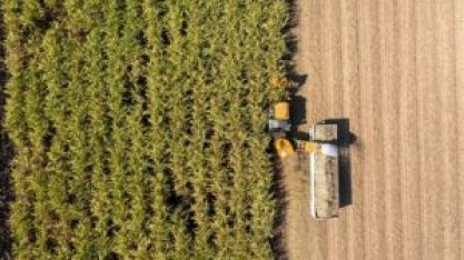 Vinhaça do etanol vira produto de alto valor e oferece solução inédita para monitoramento hídrico