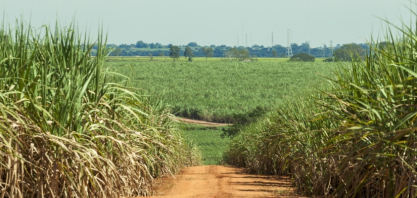 Abag promoverá ações na COP30 para reforçar o posicionamento do agronegócio como uma das soluções para as mudanças climáticas
