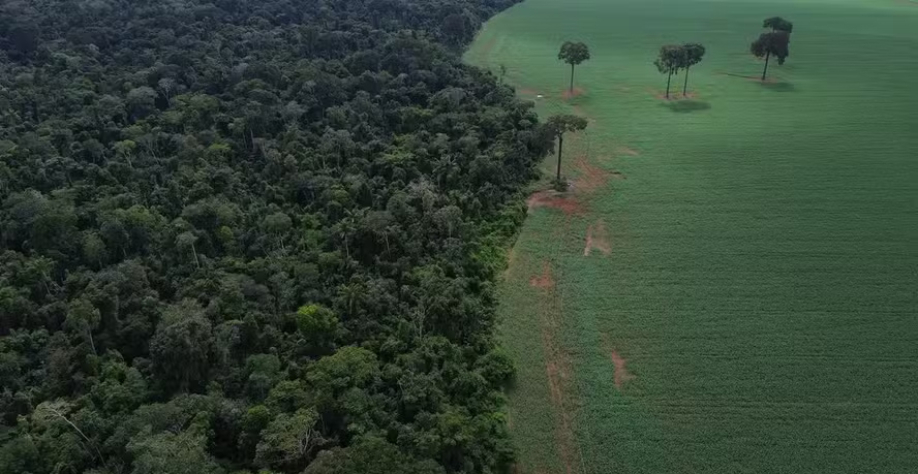 Procedimento é necessário para venda e doação, acesso a crédito e para fins de registro e regularização — Foto: Fernando Frazão/Agência Brasil