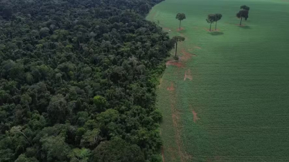 Governo amplia prazo para georreferenciamento em propriedades rurais