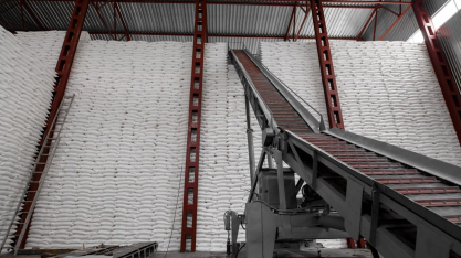 Valorização do milho contrasta com queda acentuada do açúcar