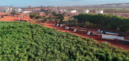 Após recorde de produção de açúcar em 2024, indústria paraense mira safra ainda maior