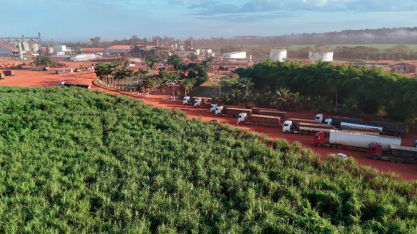 Após recorde de produção de açúcar em 2024, indústria paraense mira safra ainda maior