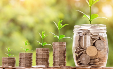 Investimentos privados em sustentabilidade no Brasil atingem R$ 48,2 bilhões em 2025, mostra Amcham