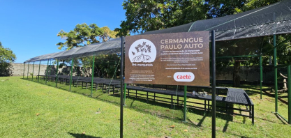 Usina Caeté participa da inauguração do Centro de Recuperação de Manguezais Paulo Auto e reforça parceria em ações socioambientais