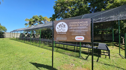 Usina Caeté participa da inauguração do Centro de Recuperação de Manguezais Paulo Auto e reforça parceria em ações socioambientais