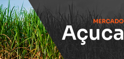 Voo às cegas: manual da falta de risco