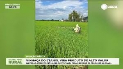Vinhaça do etanol vira produto de alto valor