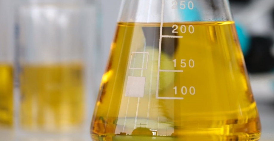 Setor investe em novas usinas para ampliar capacidade de produção de biodiesel. Foto: Adobe Stock