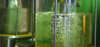 Brasil deve propor meta global para quadruplicar biocombustíveis até 2035 na COP30