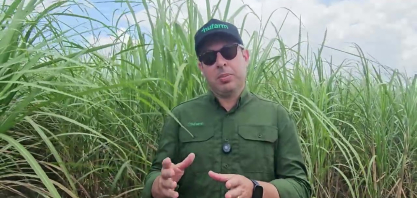 Usina Petribu e a Nufarm trabalham juntas desde a 1a fase do desenvolvimento da variedade de cana