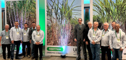 UFV lança novas variedades de cana e reforça papel da ciência no avanço do setor sucroenergético