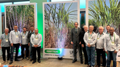 UFV lança novas variedades de cana e reforça papel da ciência no avanço do setor sucroenergético