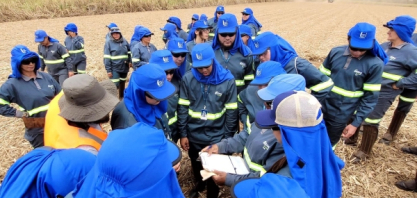 Usina Estiva: Manejo de pragas e doenças da cana é tema de treinamento