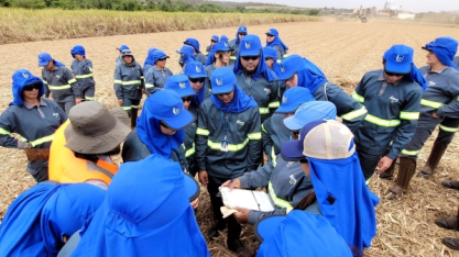 Usina Estiva: Manejo de pragas e doenças da cana é tema de treinamento