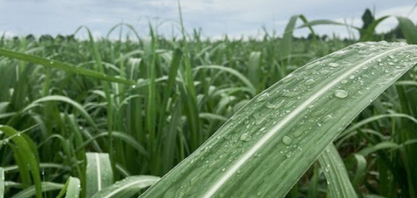La Niña deve intensificar chuvas no Norte e Nordeste e exige manejo preventivo dos produtores