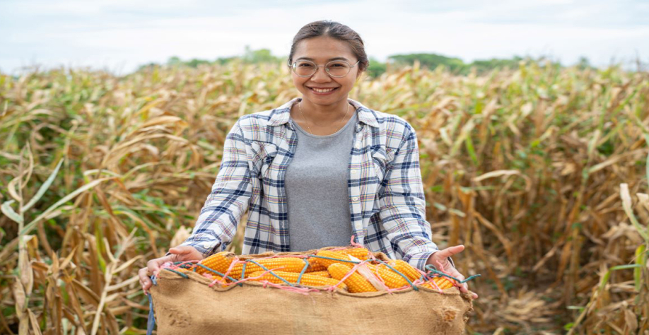 Segundo o IBGE, mulheres respondem por 42,4% da renda familiar no campo. Foto: Adobe Stock