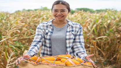 Mais de 6 milhões de mulheres movem a economia rural no Brasil