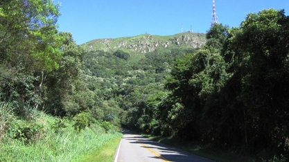 São Paulo aposta em créditos ambientais para impulsionar restauração ecológica