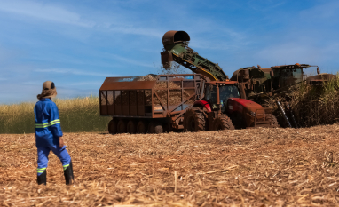 Tereos colidera iniciativa para descarbonização do agronegócio em parceria com CEBDS e empresas líderes do setor no Brasil