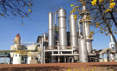 Veredas Agro: Agricultura Sustentável Referência na Produção Responsável no Cerrado Mineiro