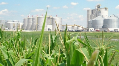 EUA: produção de etanol aumentou para 1,071 mi de bpd na semana encerrada em 3 de outubro