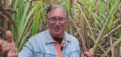 Cana regenerada na fazenda de Edilson Maia, no décimo corte, produz mais de 90 toneladas por hectare