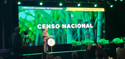 RIDESA lança 18 novas variedades de cana e consolida liderança no campo com 54% da colheita nacional