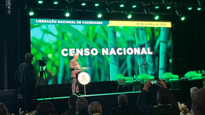 RIDESA lança 18 novas variedades de cana e consolida liderança no campo com 54% da colheita nacional