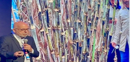 IAC anuncia nova variedade de cana com 25% mais produtividade