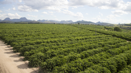 Como a manutenção preditiva transforma a irrigação por gotejamento