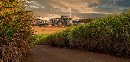 Com queda de 4,5% na produção, encerramento da safra de cana-de-açúcar em MG é antecipado