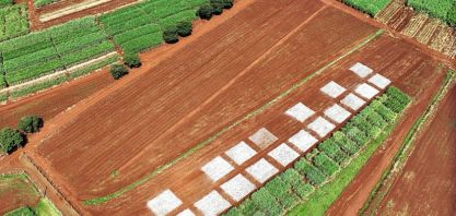 No dia 25 de novembro, Grupo Fitotécnico fará reunião especial com visita à estação de nutrição do CanaShow 2025