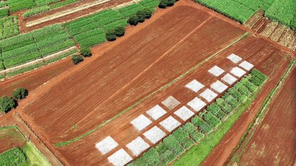 No dia 25 de novembro, Grupo Fitotécnico fará reunião especial com visita à estação de nutrição do CanaShow 2025