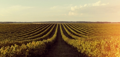 Agro regional lidera setor de M&A no Brasil
