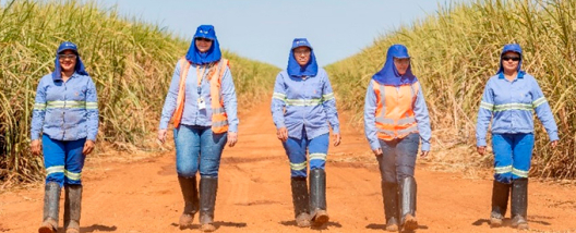 Dia da Mulher Rural: Atvos celebra data ampliando presença feminina e fortalecendo equidade no setor sucroenergético