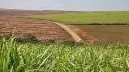 CBios voltam a ser negociados abaixo de R$ 40 ao final de setembro