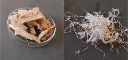 Aluno diz que ideia de criar tecido com bagaço da cana-de-açúcar surgiu do desejo de transformar algo que é jogado fora 'em algo útil'