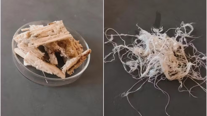 Aluno diz que ideia de criar tecido com bagaço da cana-de-açúcar surgiu do desejo de transformar algo que é jogado fora 'em algo útil'