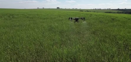 Práticas verdes aumentam colheita da Tereos