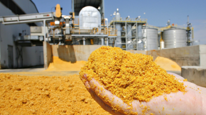 Minerva Foods: o etanol de milho é transformacional para a pecuária, vê CEO Fernando Queiroz