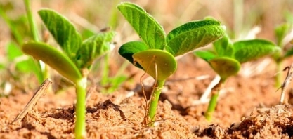 La Niña pode impactar severamente a produção agropecuária no Centro-Sul do Brasil em outubro