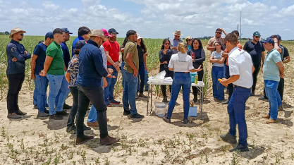 Alunos do curso de Agronomia da FACENE conhecem trabalho de produção de insumos biológicos da Estação de Camaratuba