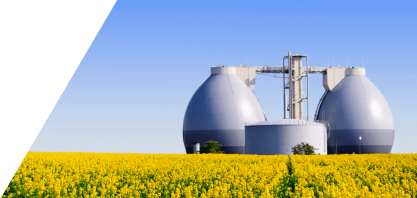 Brasil pode criar 760 mil novos empregos em bioenergia até 2030, diz Schneider Electric e Systemiq