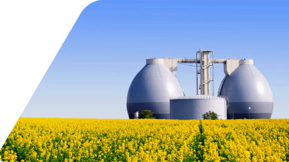 Brasil pode criar 760 mil novos empregos em bioenergia até 2030, diz Schneider Electric e Systemiq