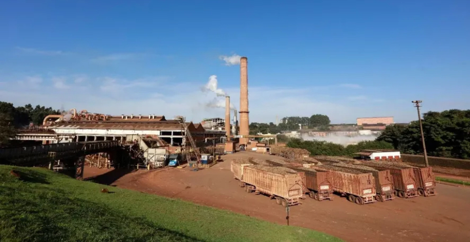 Usinas poderão utilizar o CDR em suas caldeiras — Foto: Divulgação/São Martinho